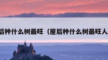 屋后种什么树最旺（屋后种什么树最旺人丁）
