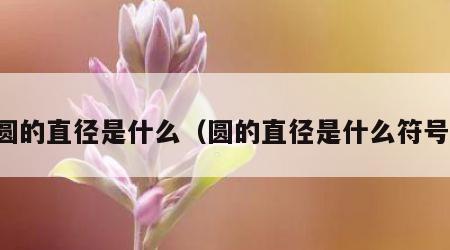 圆的直径是什么（圆的直径是什么符号）