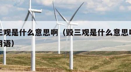 毁三观是什么意思啊（毁三观是什么意思啊网络用语）