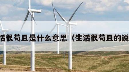 生活很苟且是什么意思（生活很苟且的说说）