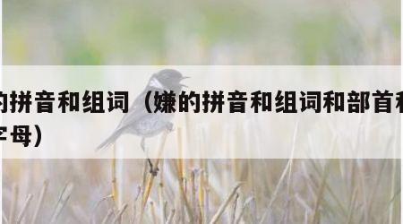嫌的拼音和组词（嫌的拼音和组词和部首和大写字母）