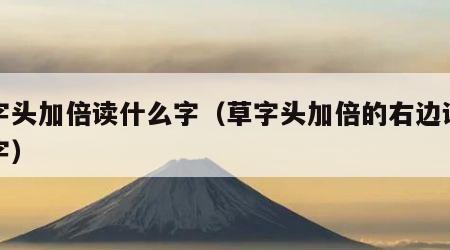 草字头加倍读什么字（草字头加倍的右边读什么字）