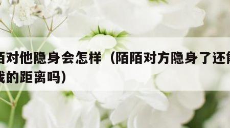 陌陌对他隐身会怎样（陌陌对方隐身了还能看到我的距离吗）
