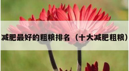 减肥最好的粗粮排名（十大减肥粗粮）
