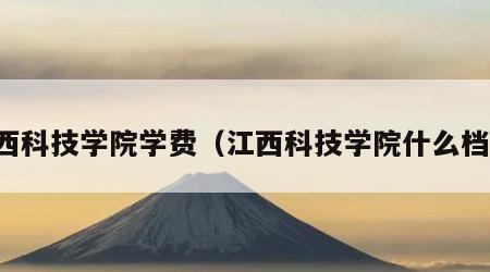 江西科技学院学费（江西科技学院什么档次）