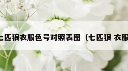 七匹狼衣服色号对照表图（七匹狼 衣服）