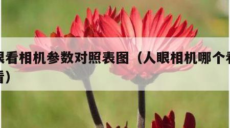 人眼看相机参数对照表图（人眼相机哪个看人好看）