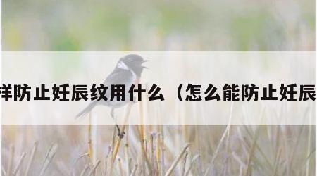 怎样防止妊辰纹用什么（怎么能防止妊辰纹）