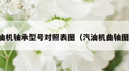 汽油机轴承型号对照表图（汽油机曲轴图片）