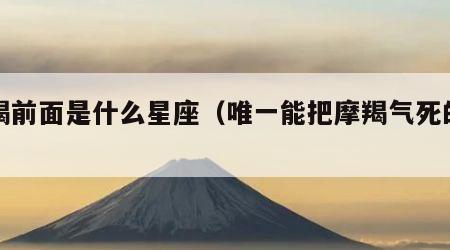 摩羯前面是什么星座（唯一能把摩羯气死的星座）