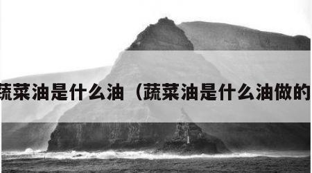 蔬菜油是什么油（蔬菜油是什么油做的）