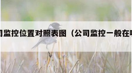公司监控位置对照表图（公司监控一般在哪里看）
