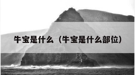 牛宝是什么（牛宝是什么部位）