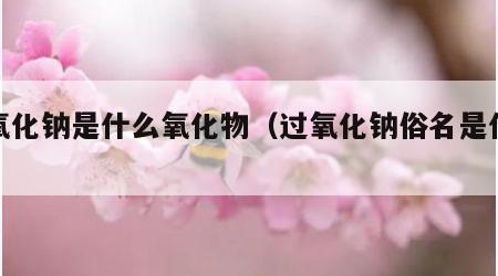 过氧化钠是什么氧化物（过氧化钠俗名是什么）