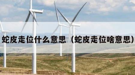 蛇皮走位什么意思（蛇皮走位啥意思）