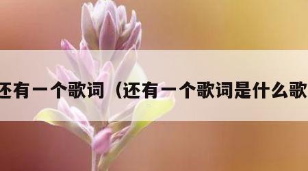 还有一个歌词（还有一个歌词是什么歌）