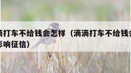 滴滴打车不给钱会怎样（滴滴打车不给钱会不会影响征信）
