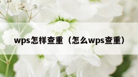 wps怎样查重（怎么wps查重）