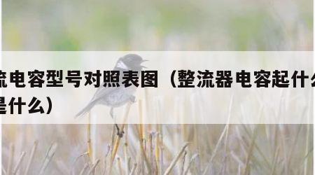 整流电容型号对照表图（整流器电容起什么作用是什么）