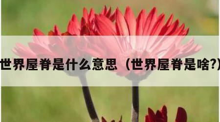 世界屋脊是什么意思（世界屋脊是啥?）