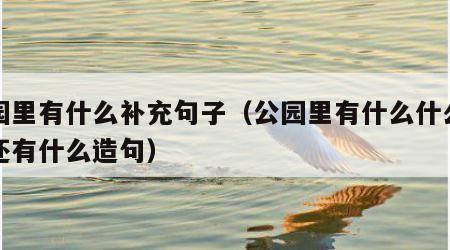 公园里有什么补充句子（公园里有什么什么什么还有什么造句）