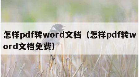 怎样pdf转word文档（怎样pdf转word文档免费）