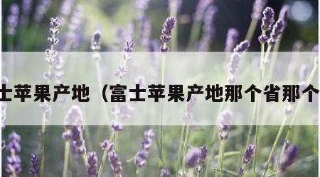 富士苹果产地（富士苹果产地那个省那个县）