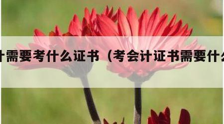 会计需要考什么证书（考会计证书需要什么条件）