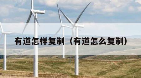 有道怎样复制（有道怎么复制）