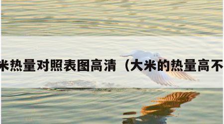 大米热量对照表图高清（大米的热量高不高）