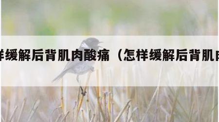 怎样缓解后背肌肉酸痛（怎样缓解后背肌肉僵硬）