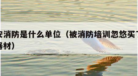 政安消防是什么单位（被消防培训忽悠买了消防器材）