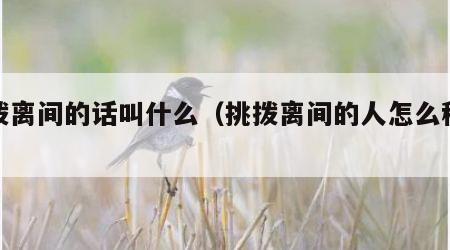 挑拨离间的话叫什么（挑拨离间的人怎么称呼）