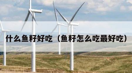 什么鱼籽好吃（鱼籽怎么吃最好吃）