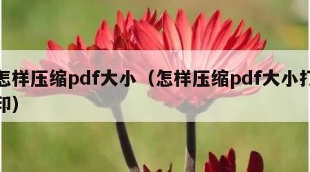 怎样压缩pdf大小（怎样压缩pdf大小打印）