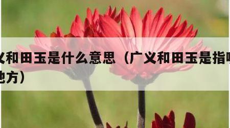 广义和田玉是什么意思（广义和田玉是指哪几个地方）