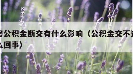住房公积金断交有什么影响（公积金交不进去怎么回事）