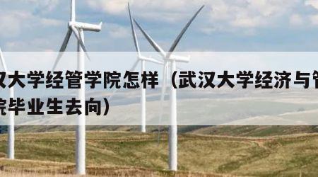 武汉大学经管学院怎样（武汉大学经济与管理学院毕业生去向）