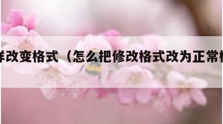 怎样改变格式（怎么把修改格式改为正常格式）