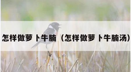怎样做萝卜牛腩（怎样做萝卜牛腩汤）