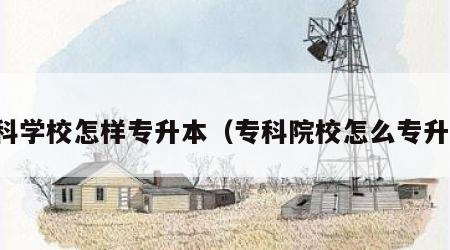 专科学校怎样专升本（专科院校怎么专升本）