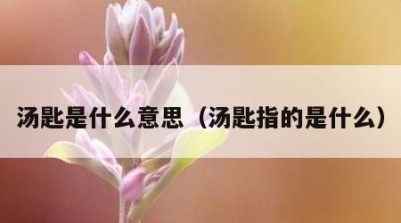 汤匙是什么意思（汤匙指的是什么）