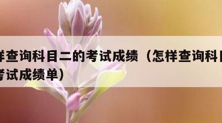 怎样查询科目二的考试成绩（怎样查询科目二的考试成绩单）