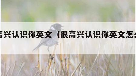 很高兴认识你英文（很高兴认识你英文怎么说）