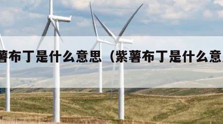 紫薯布丁是什么意思（紫薯布丁是什么意思?）