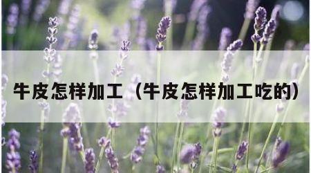 牛皮怎样加工（牛皮怎样加工吃的）