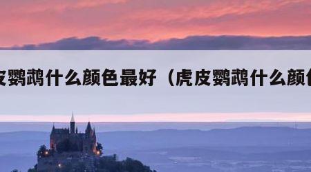 虎皮鹦鹉什么颜色最好（虎皮鹦鹉什么颜色最贵）