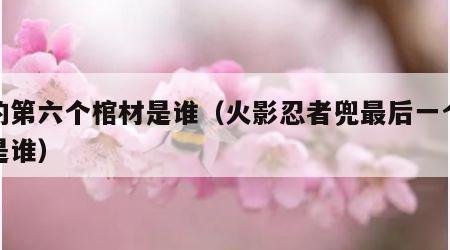 兜的第六个棺材是谁（火影忍者兜最后一个棺材是谁）