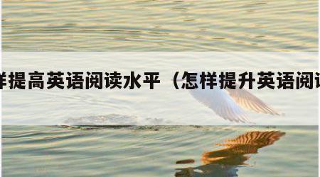 怎样提高英语阅读水平（怎样提升英语阅读水平）