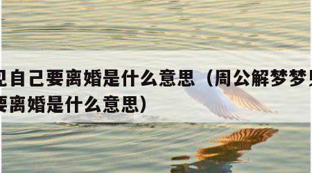 梦见自己要离婚是什么意思（周公解梦梦见自己要离婚是什么意思）
